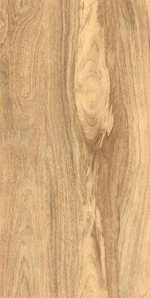 Керамогранит Gresant Taiga Light Matt+Carving 60х120