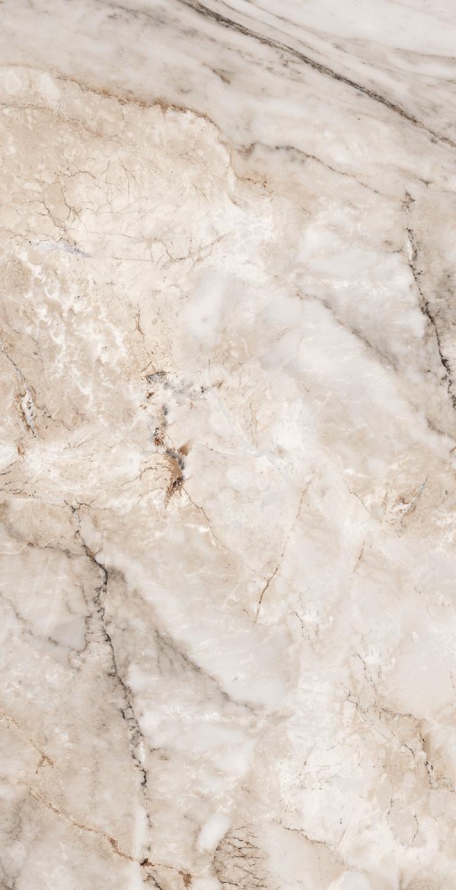 Керамогранит Gresant Paonazzato Natural Glossy 60х120